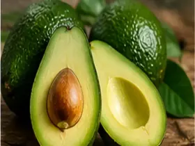 Sonhar com abacate: entenda o significado e as mensagens desse sonho 10 Sonhar com abacate: entenda o significado e as mensagens desse sonho