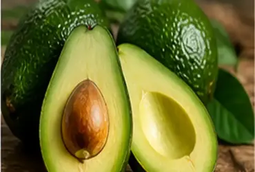 Sonhar com abacate: entenda o significado e as mensagens desse sonho