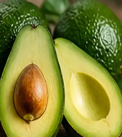 Sonhar com abacate: entenda o significado e as mensagens desse sonho