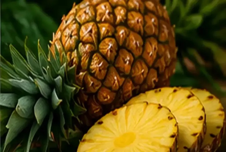 Sonhar com abacaxi: entenda o significado e os possíveis alertas desse sonho