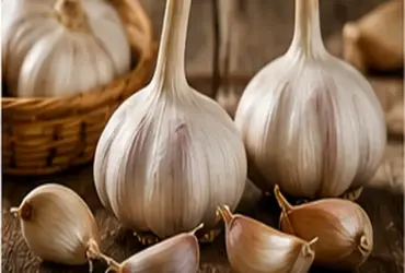 Sonhar com alho: descubra o significado e as interpretações desse sonho