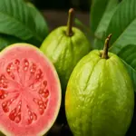 Sonhar com goiaba: o que esse sonho pode revelar sobre sua vida?
