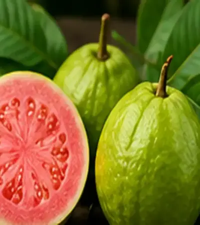 Sonhar com goiaba: o que esse sonho pode revelar sobre sua vida?